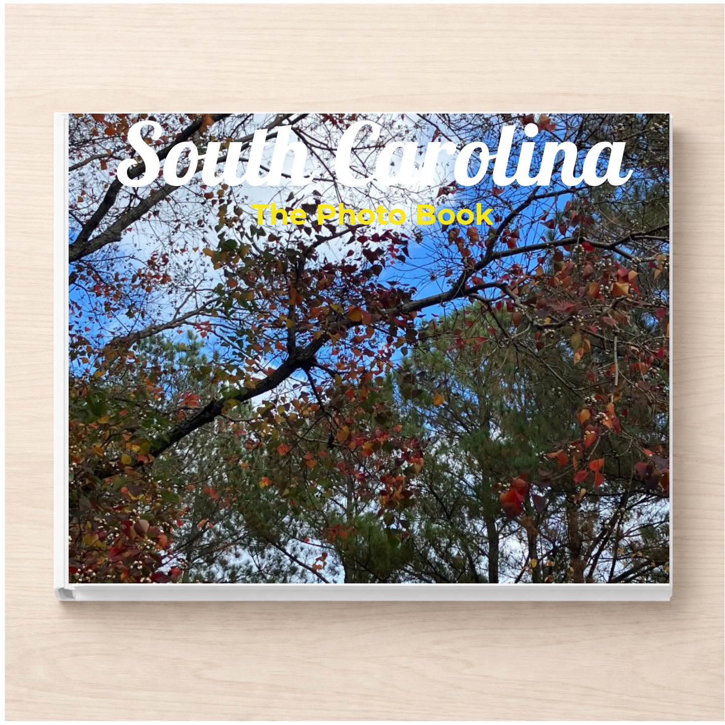 South Carolina: The Photo Book