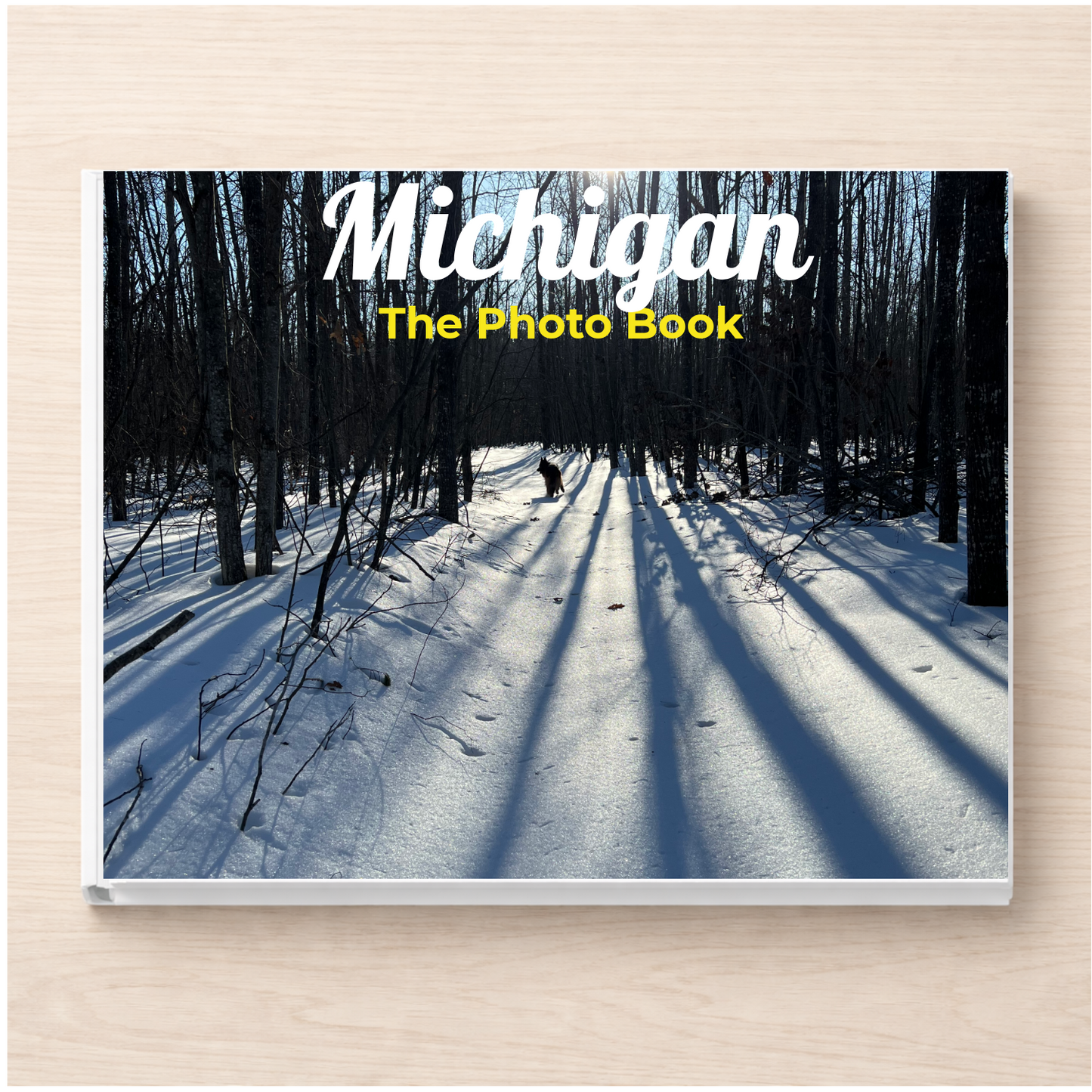 Michigan: The Photo Book