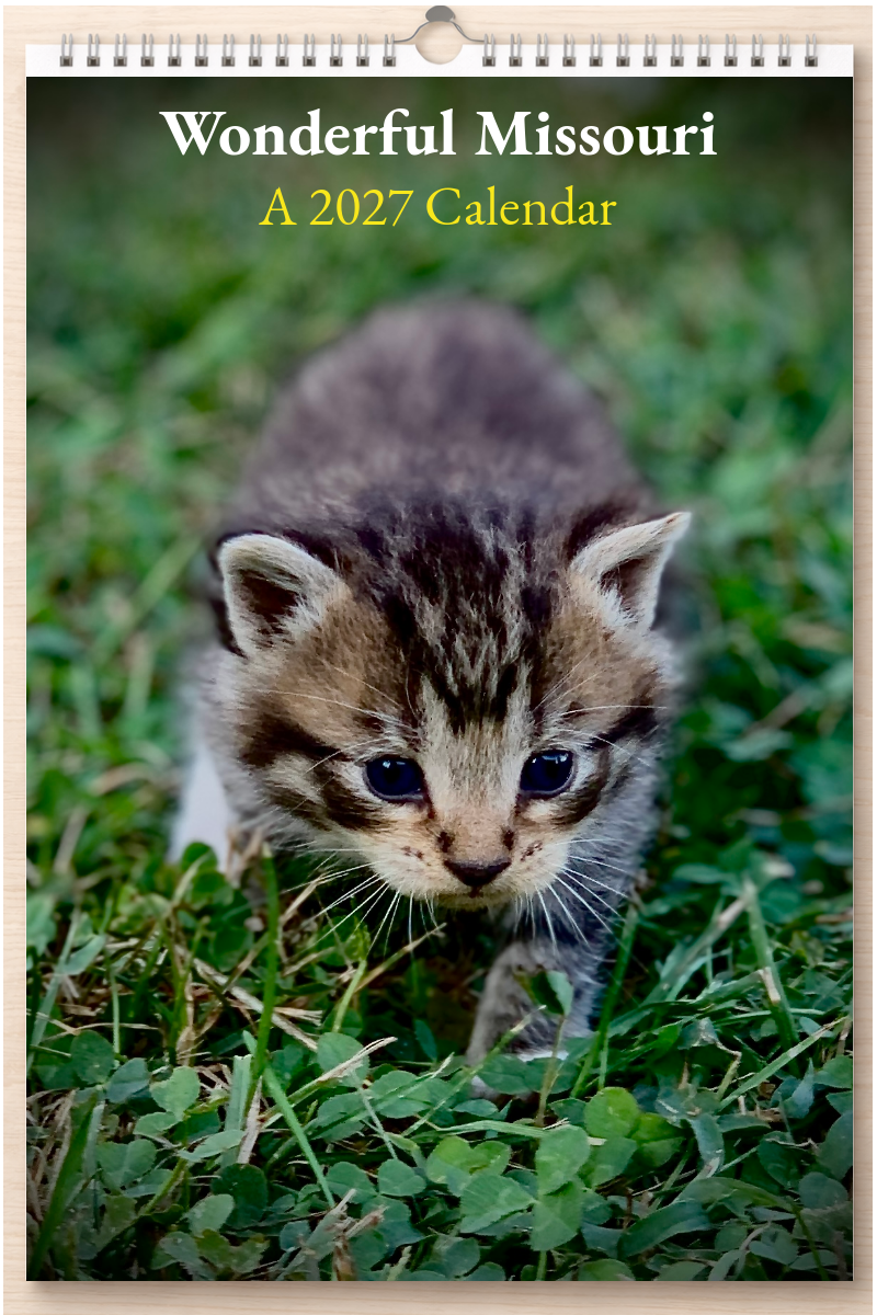 Wonderful Missouri: A 2027 Calendar