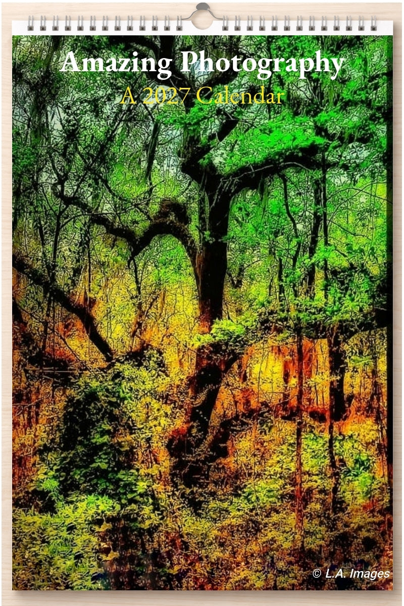 Amazing Photography: A 2027 Calendar