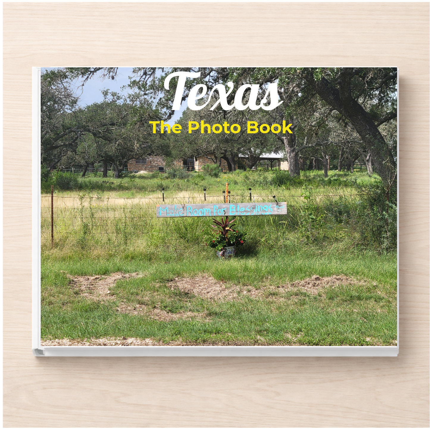 Texas: The Photo Book