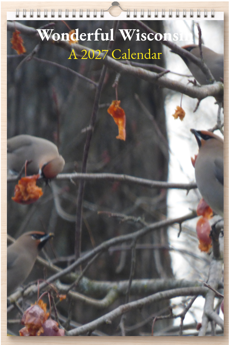 Wonderful Wisconsin: A 2027 Calendar