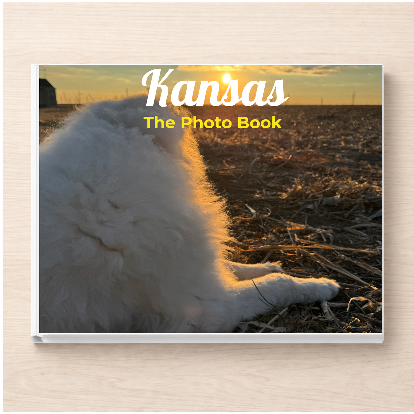 Kansas: The Photo Book