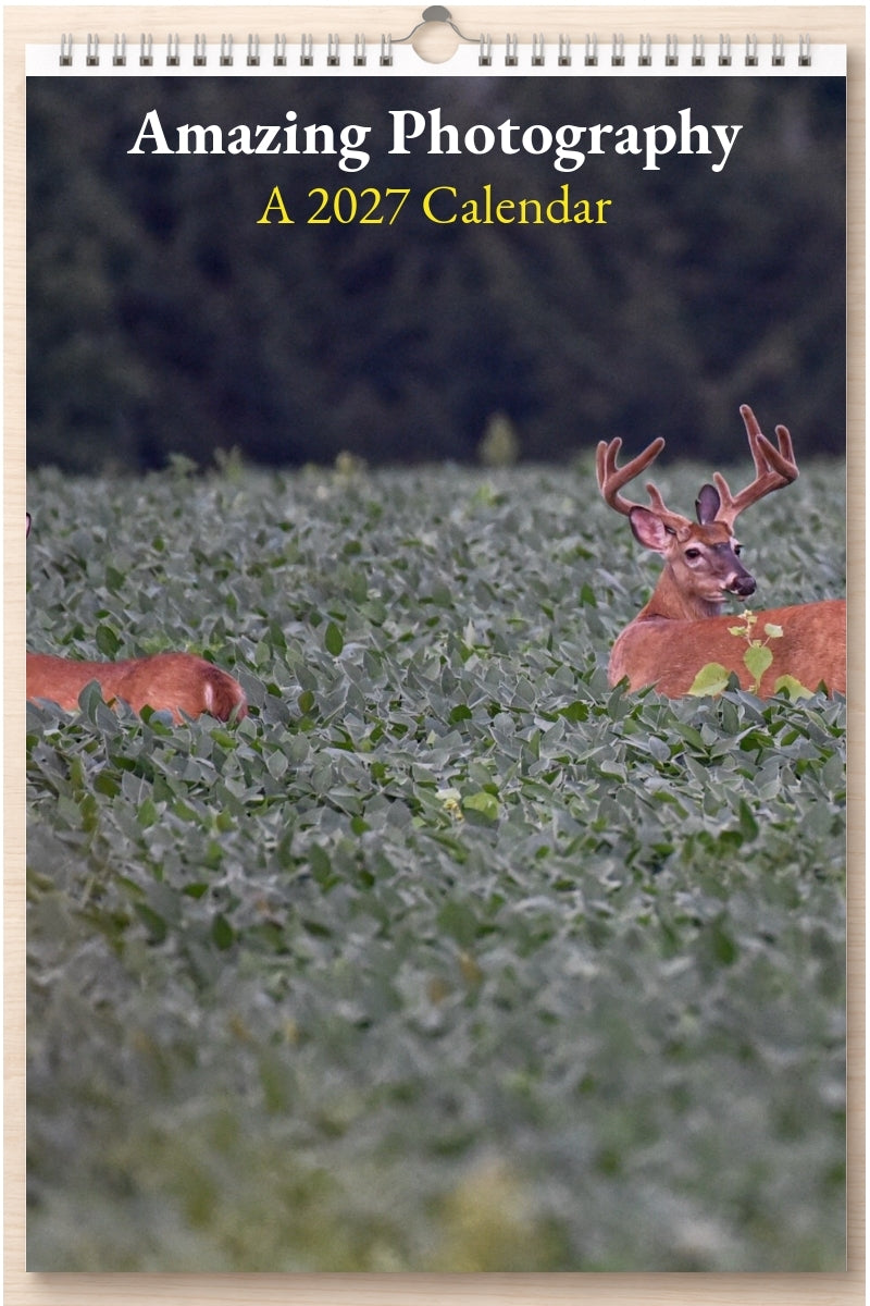 Amazing Photography: A 2027 Calendar