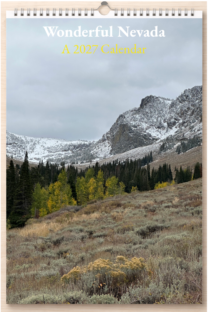 Wonderful Nevada: A 2027 Calendar