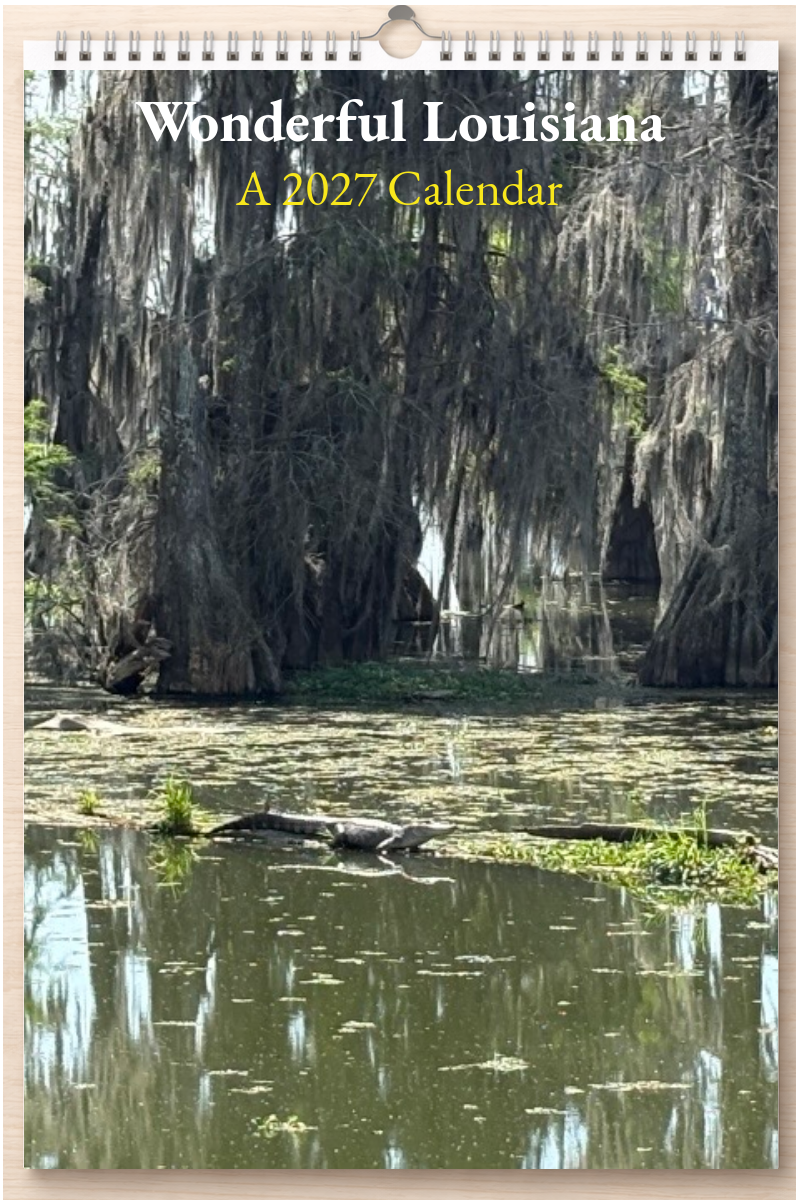 Wonderful Louisiana: A 2027 Calendar