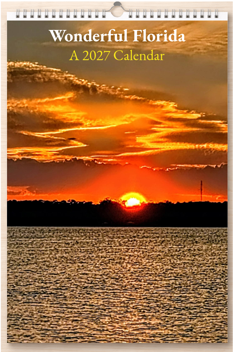 Wonderful Florida: A 2027 Calendar