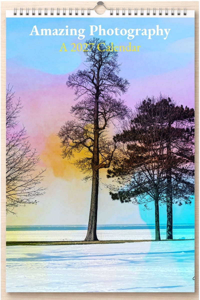 Amazing Photography: A 2027 Calendar