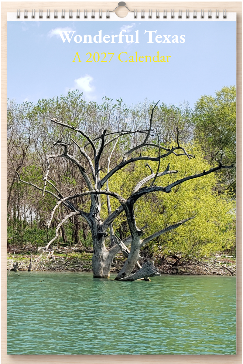 Wonderful Texas: A 2027 Calendar