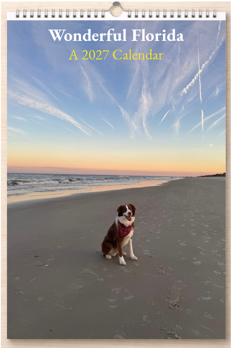 Wonderful Florida: A 2027 Calendar