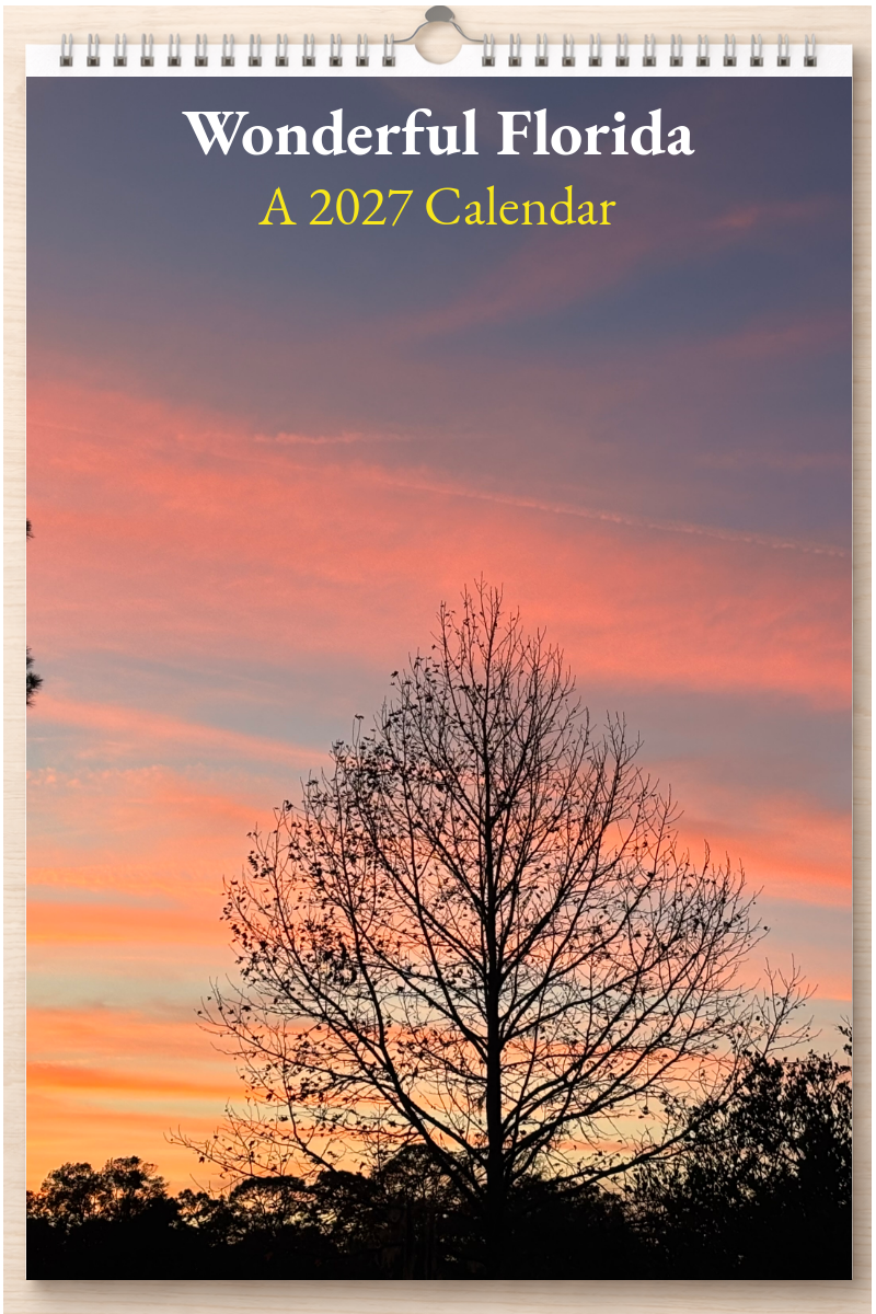 Wonderful Florida: A 2027 Calendar