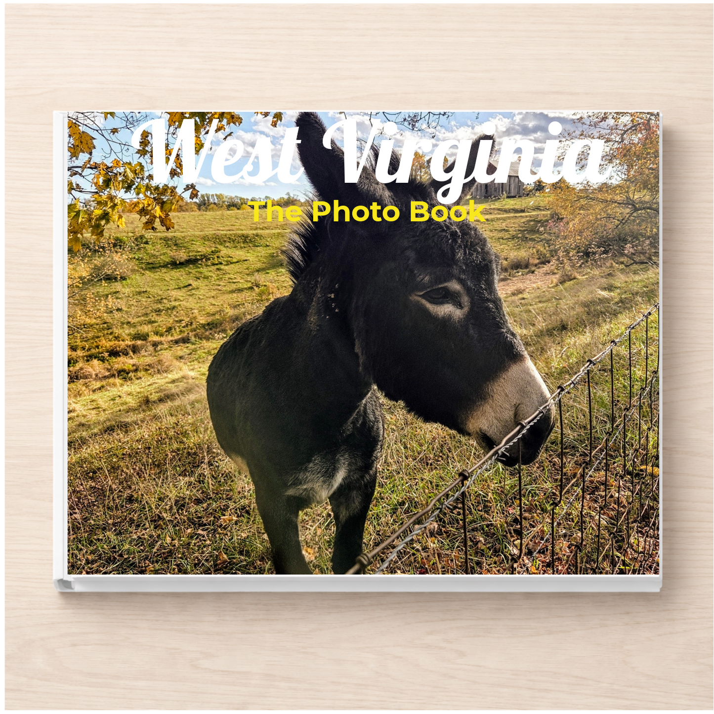 West Virginia: The Photo Book