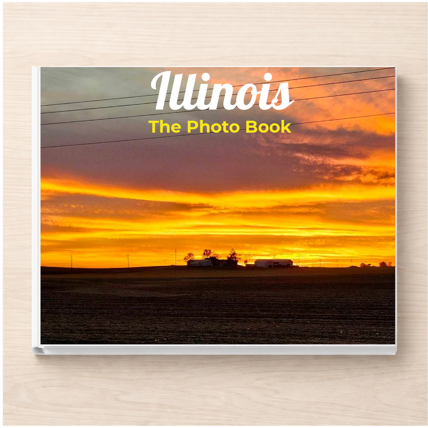 Illinois: The Photo Book