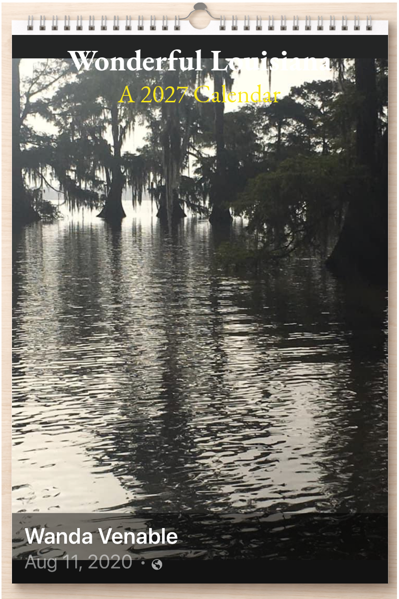 Wonderful Louisiana: A 2027 Calendar