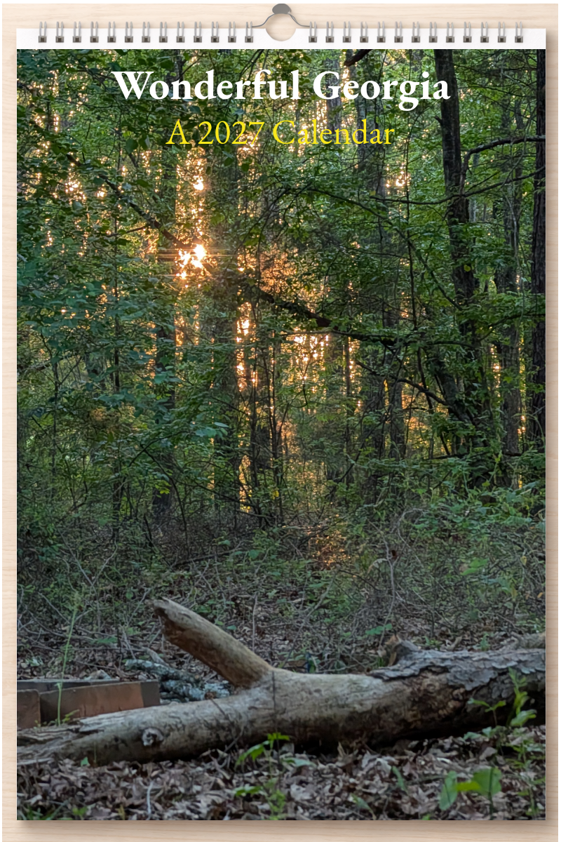 Wonderful Georgia: A 2027 Calendar