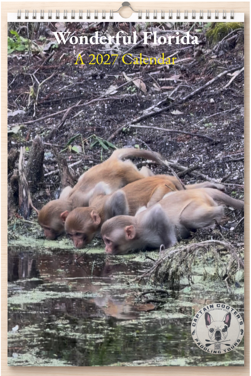 Wonderful Florida: A 2027 Calendar