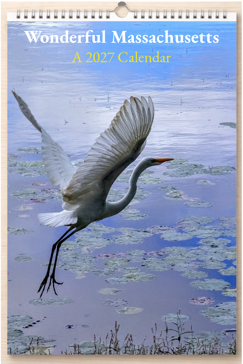 Wonderful Massachusetts: A 2027 Calendar
