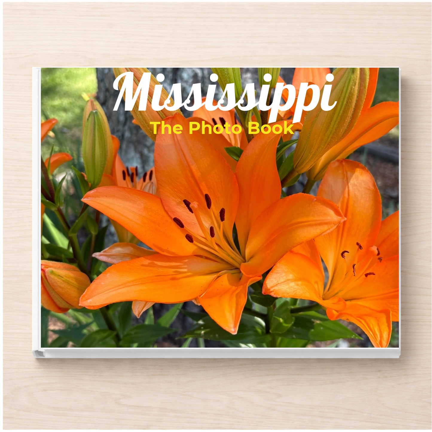 Mississippi: The Photo Book