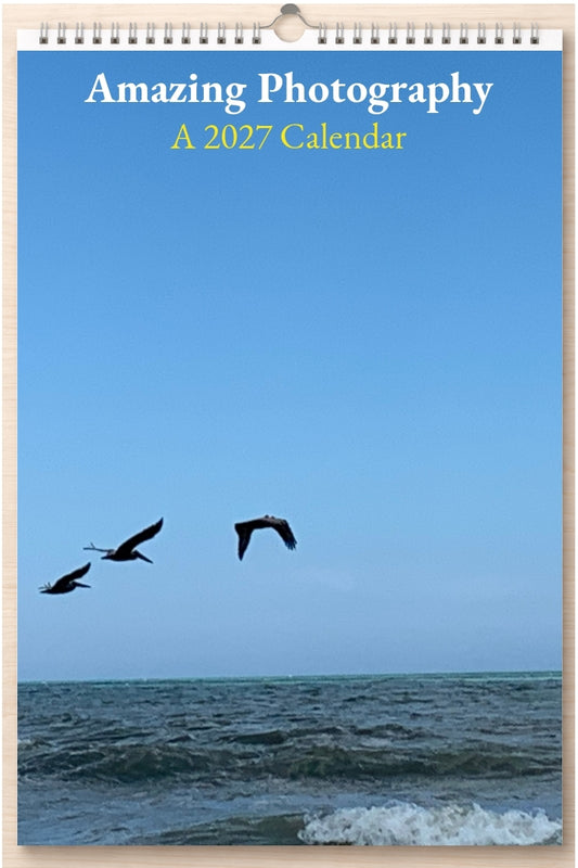 Amazing Photography: A 2027 Calendar