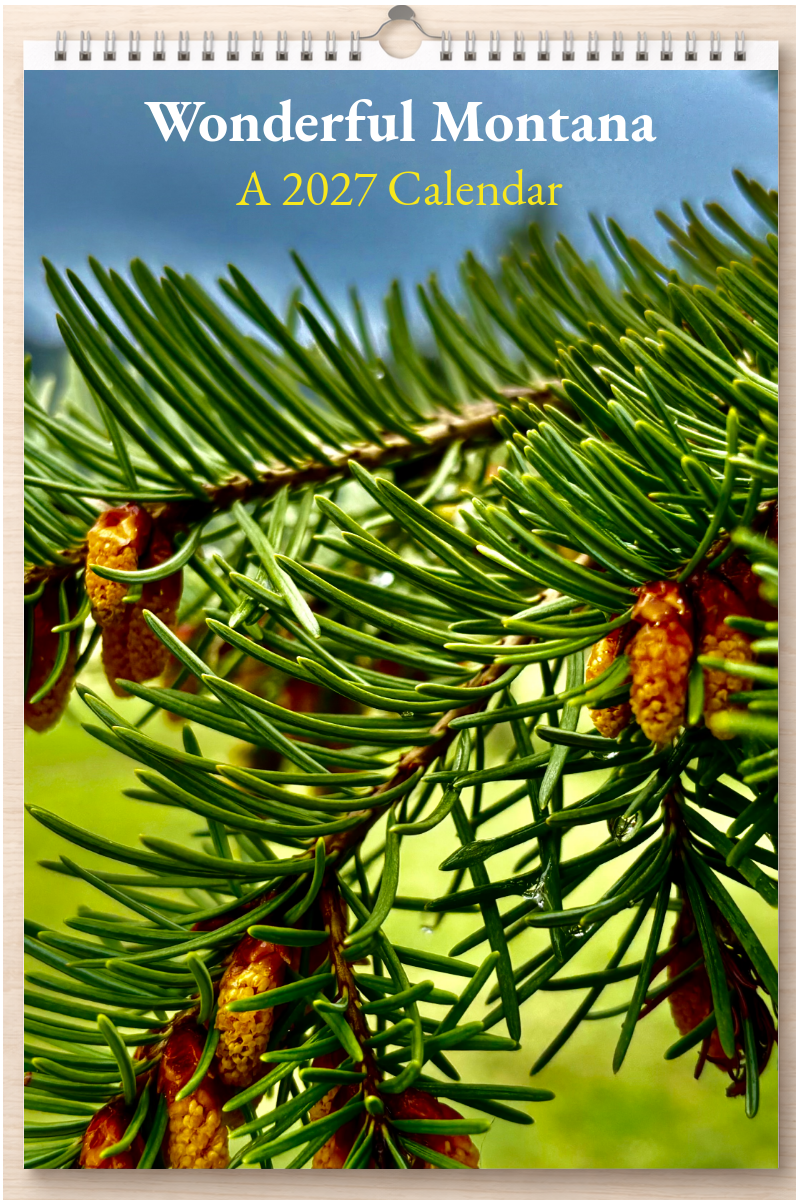 Wonderful Montana: A 2027 Calendar