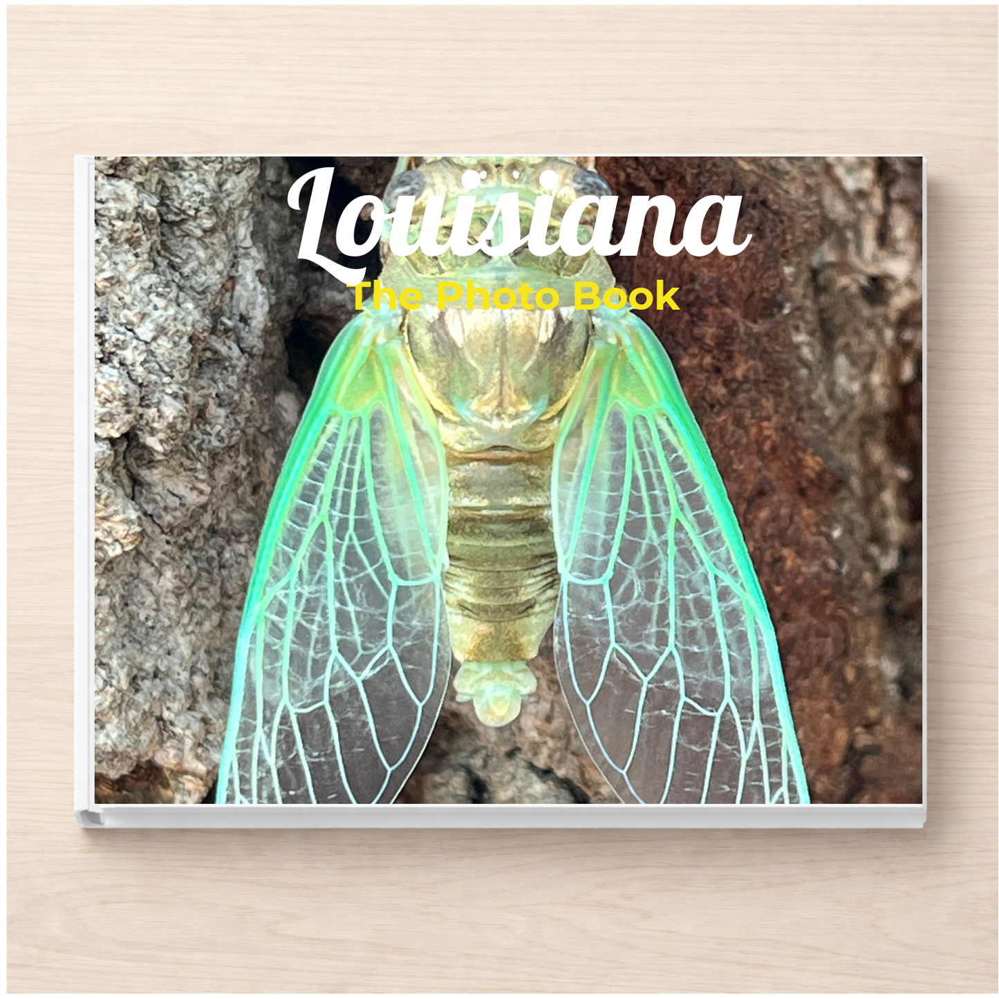 Louisiana: The Photo Book