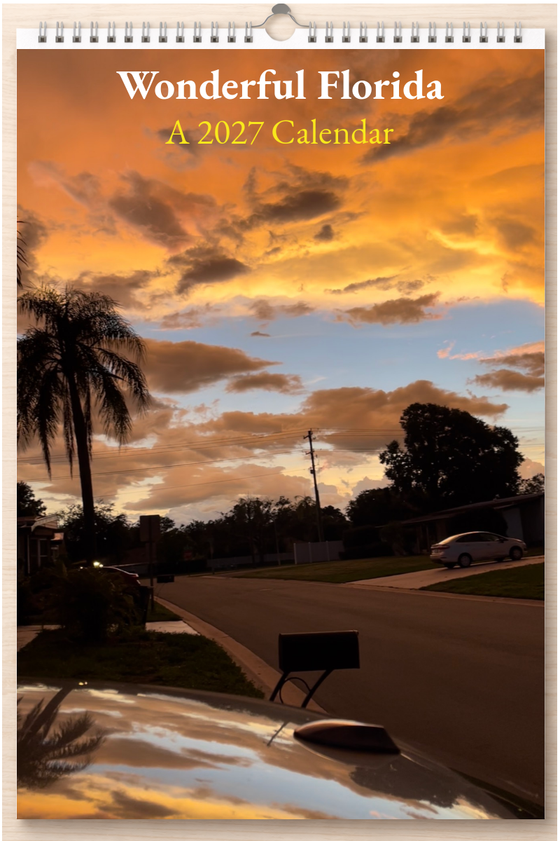 Wonderful Florida: A 2027 Calendar