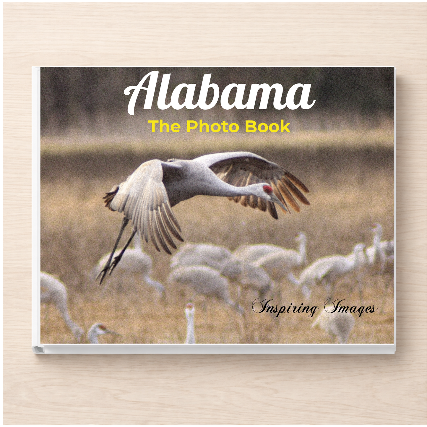 Alabama: The Photo Book