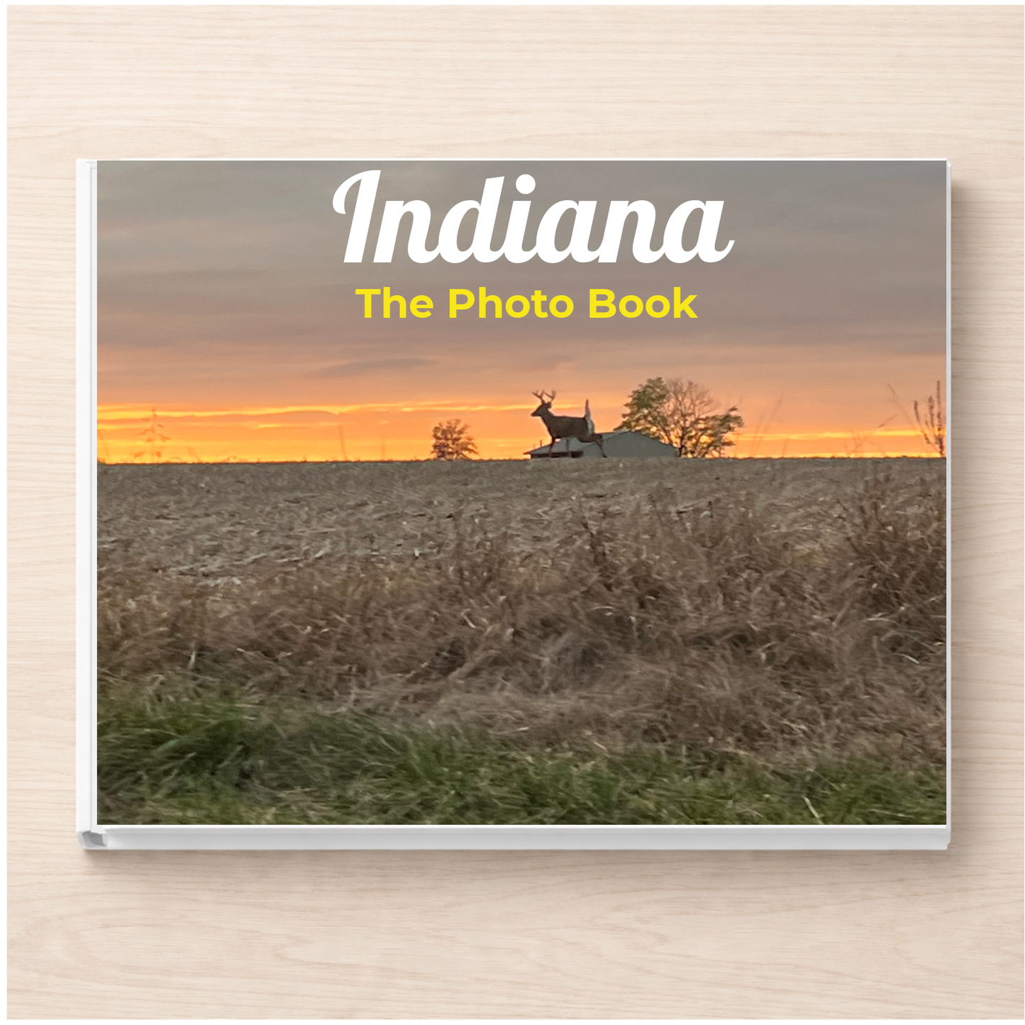 Indiana: The Photo Book