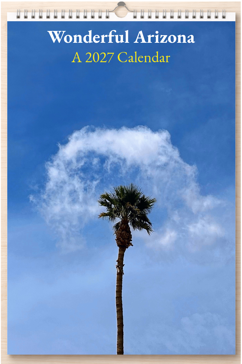Wonderful Arizona: A 2027 Calendar