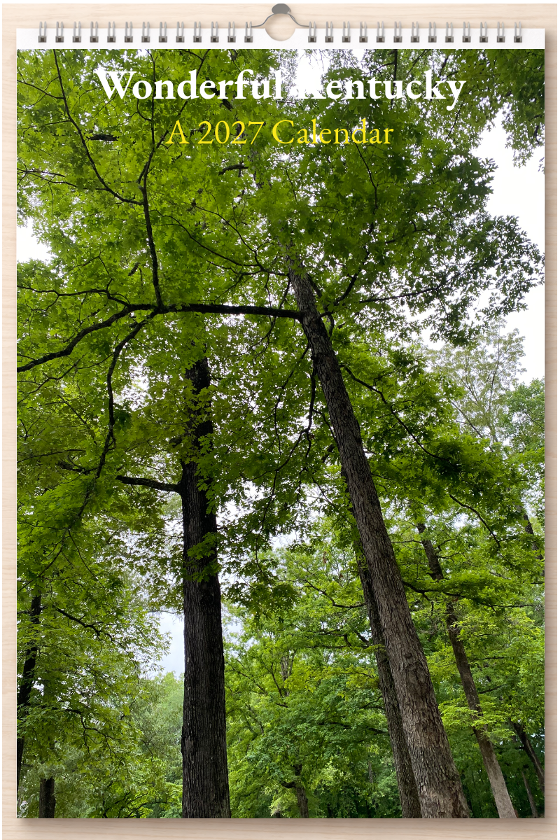 Wonderful Kentucky: A 2027 Calendar
