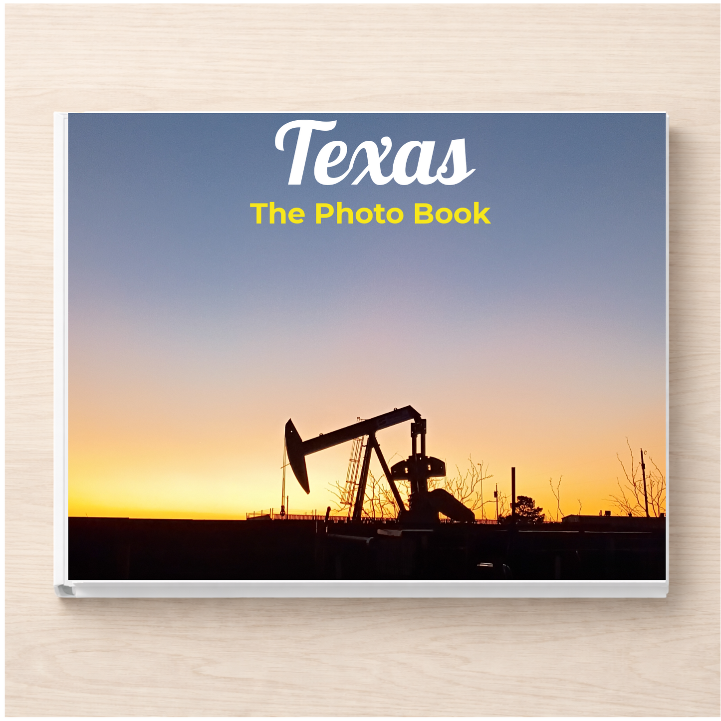 Texas: The Photo Book