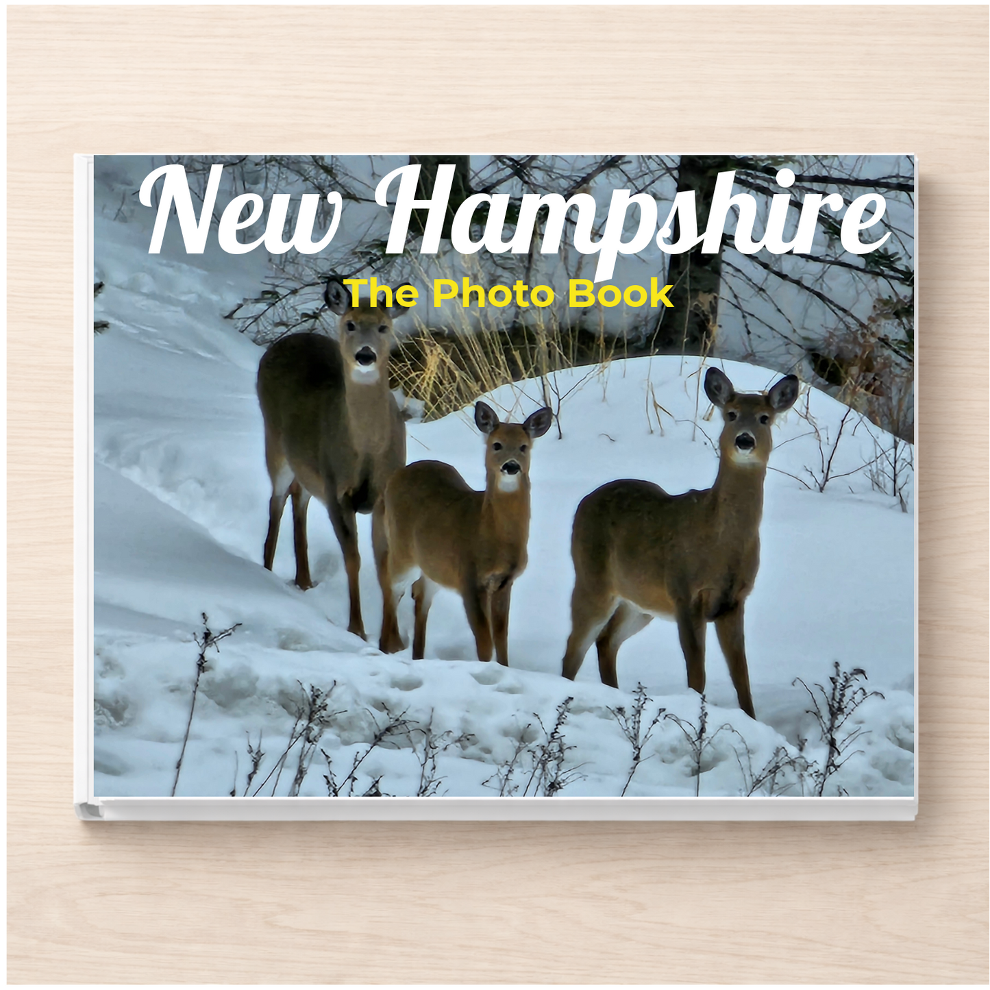 New Hampshire: The Photo Book
