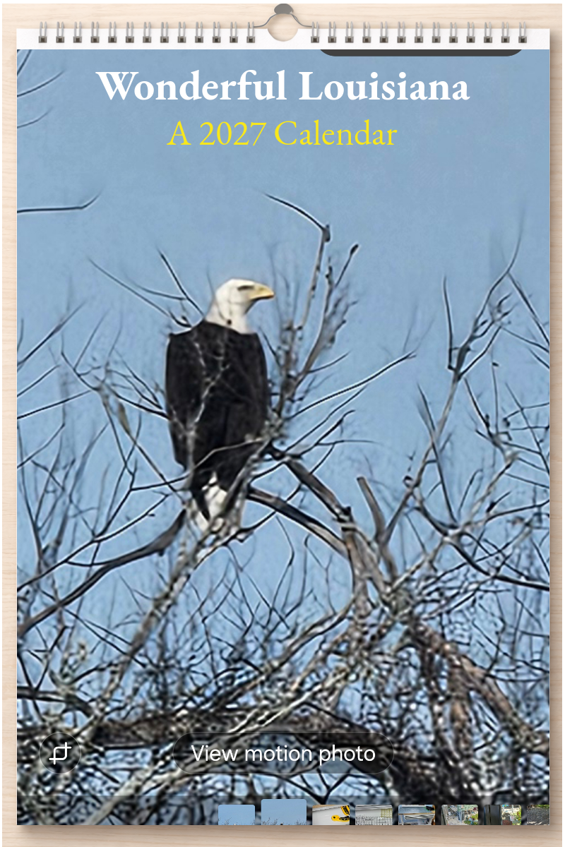 Wonderful Louisiana: A 2027 Calendar