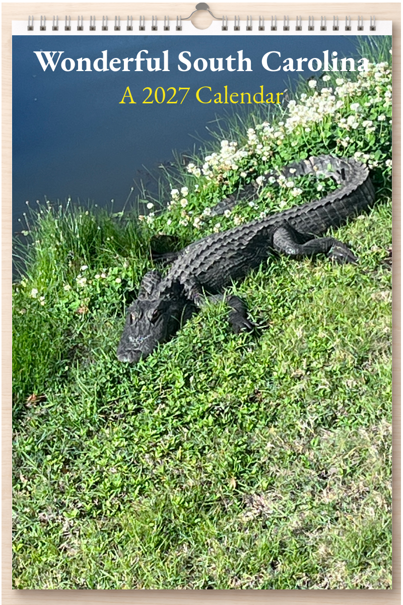 Wonderful South Carolina: A 2027 Calendar