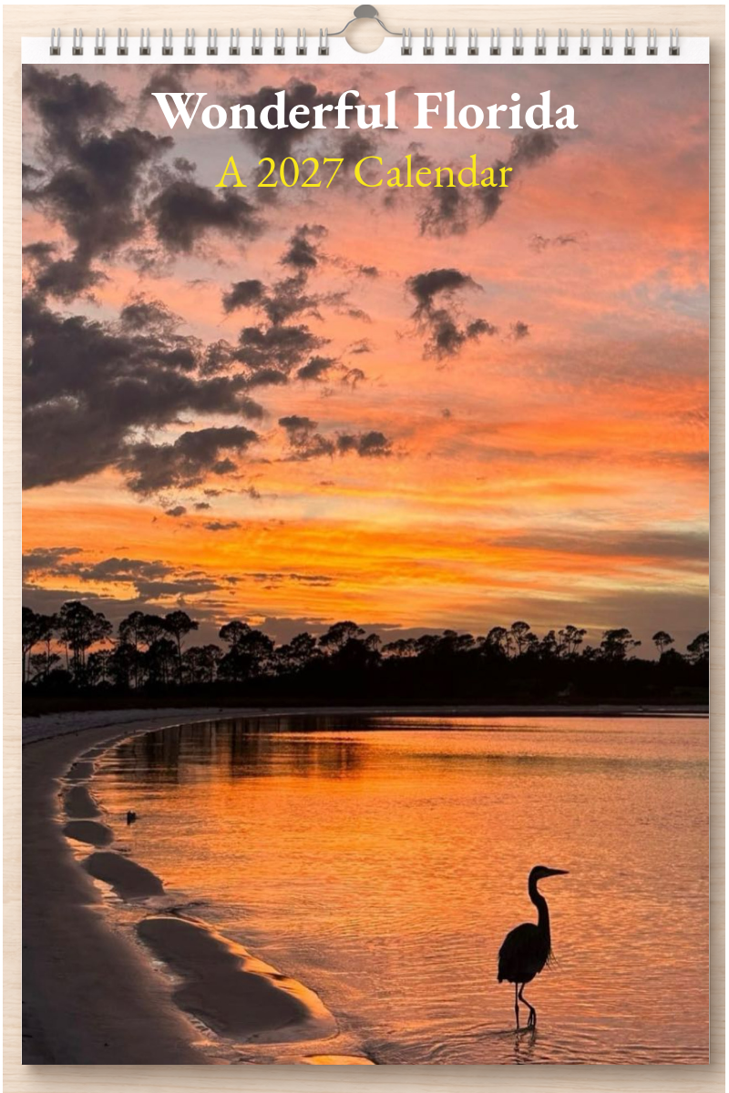 Wonderful Florida: A 2027 Calendar