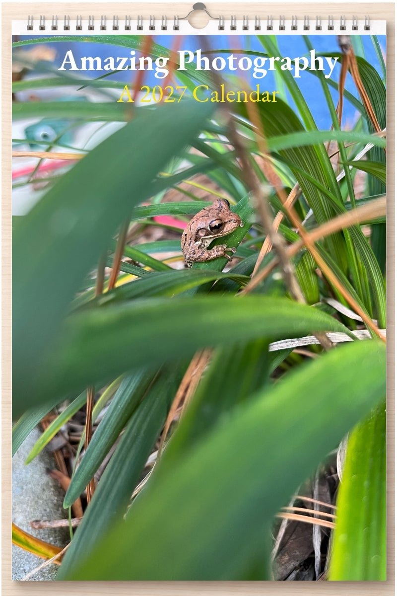 Amazing Photography: A 2027 Calendar