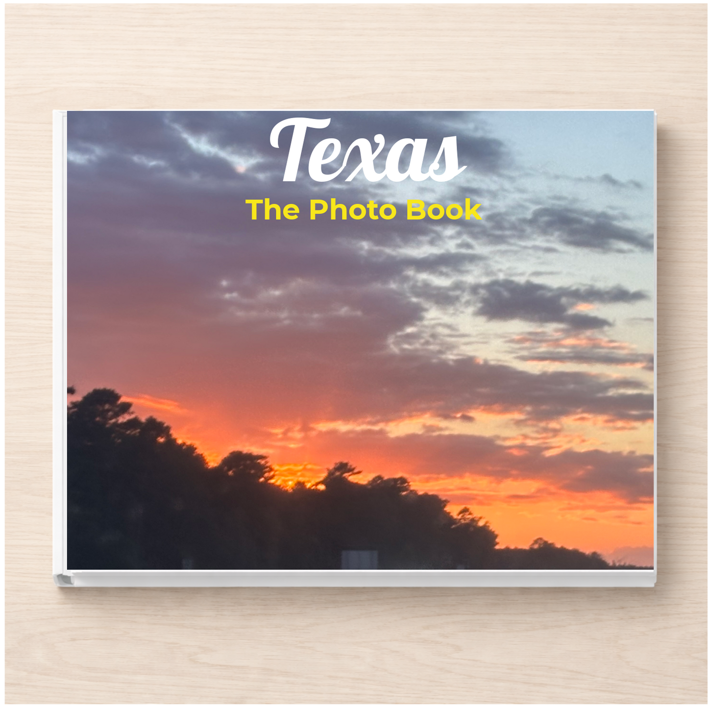 Texas: The Photo Book