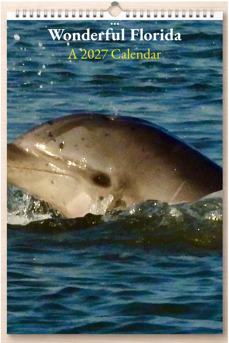 Wonderful Florida: A 2027 Calendar