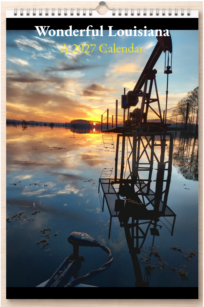 Wonderful Louisiana: A 2027 Calendar