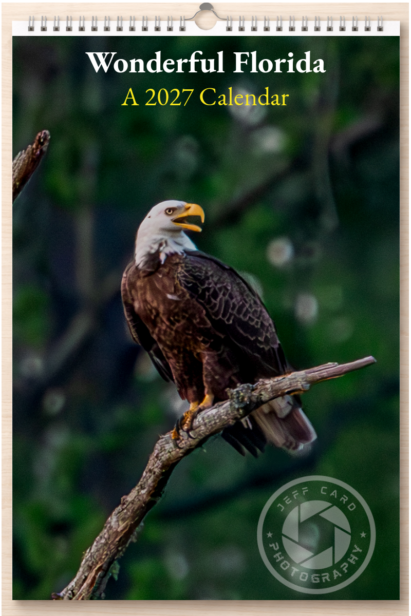 Wonderful Florida: A 2027 Calendar