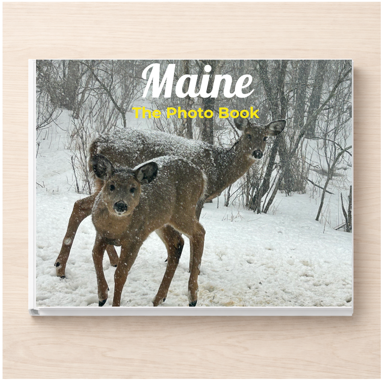 Maine: The Photo Book