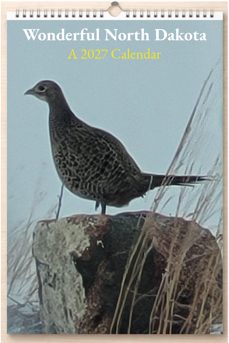 Wonderful North Dakota: A 2027 Calendar