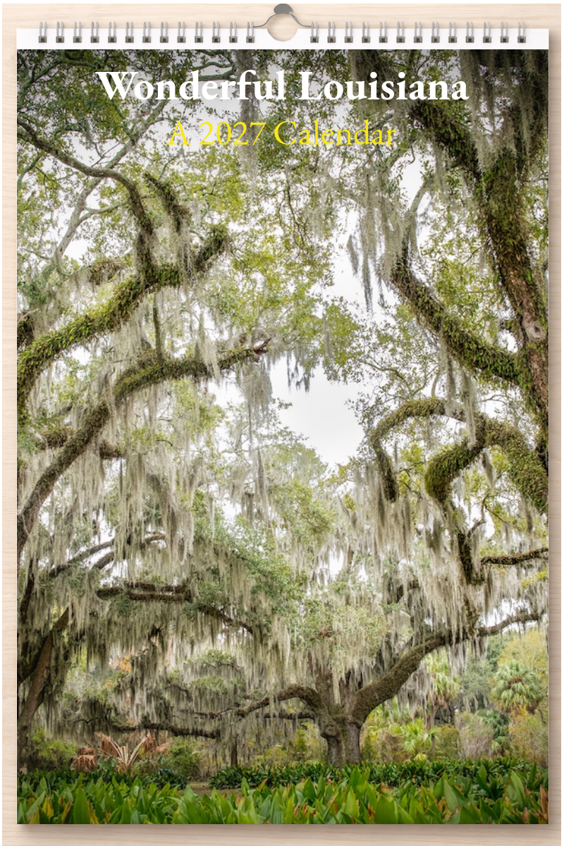 Wonderful Louisiana: A 2027 Calendar