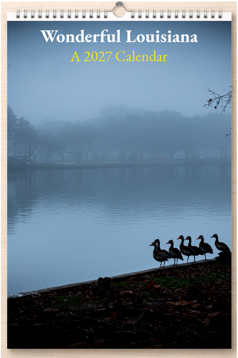 Wonderful Louisiana: A 2027 Calendar