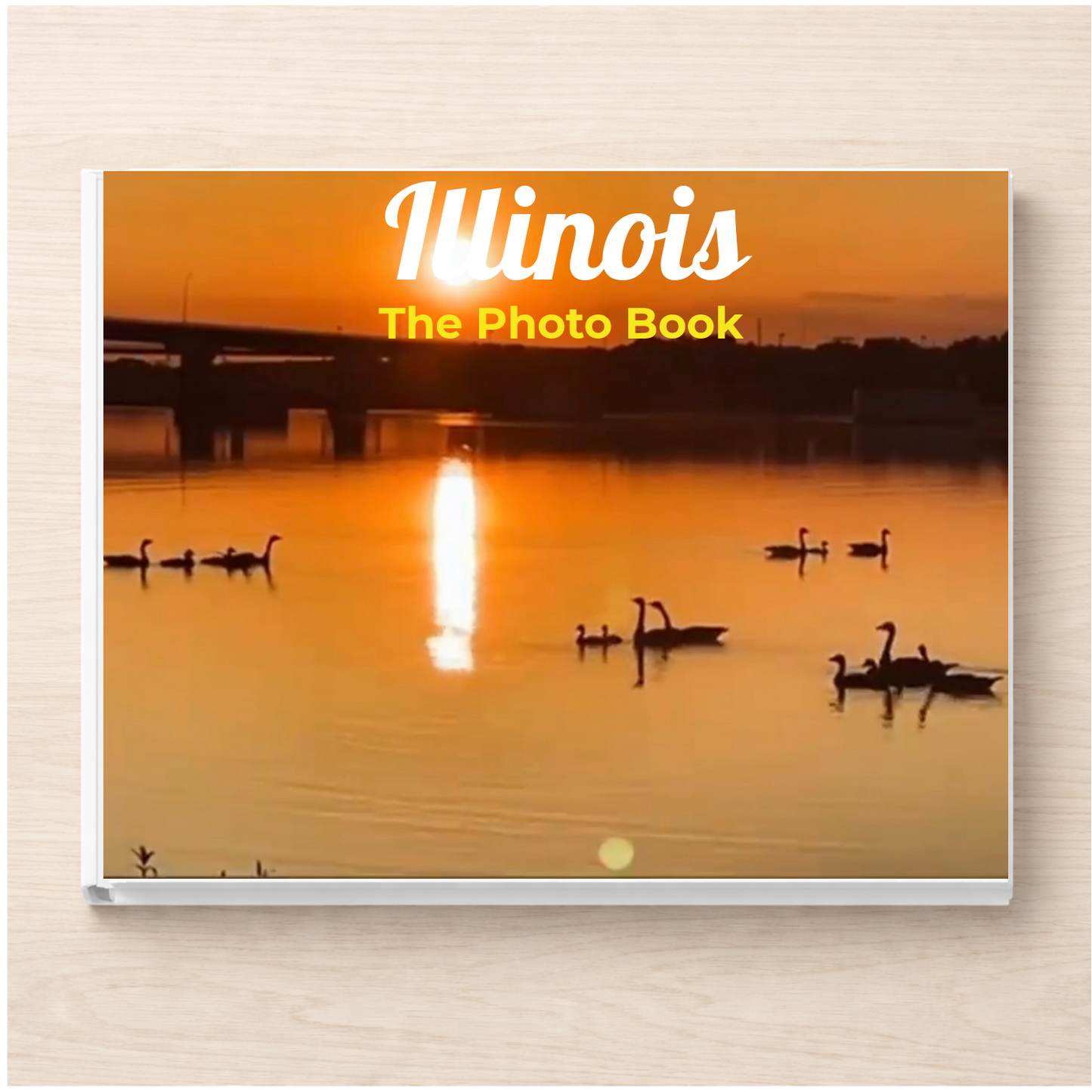 Illinois: The Photo Book