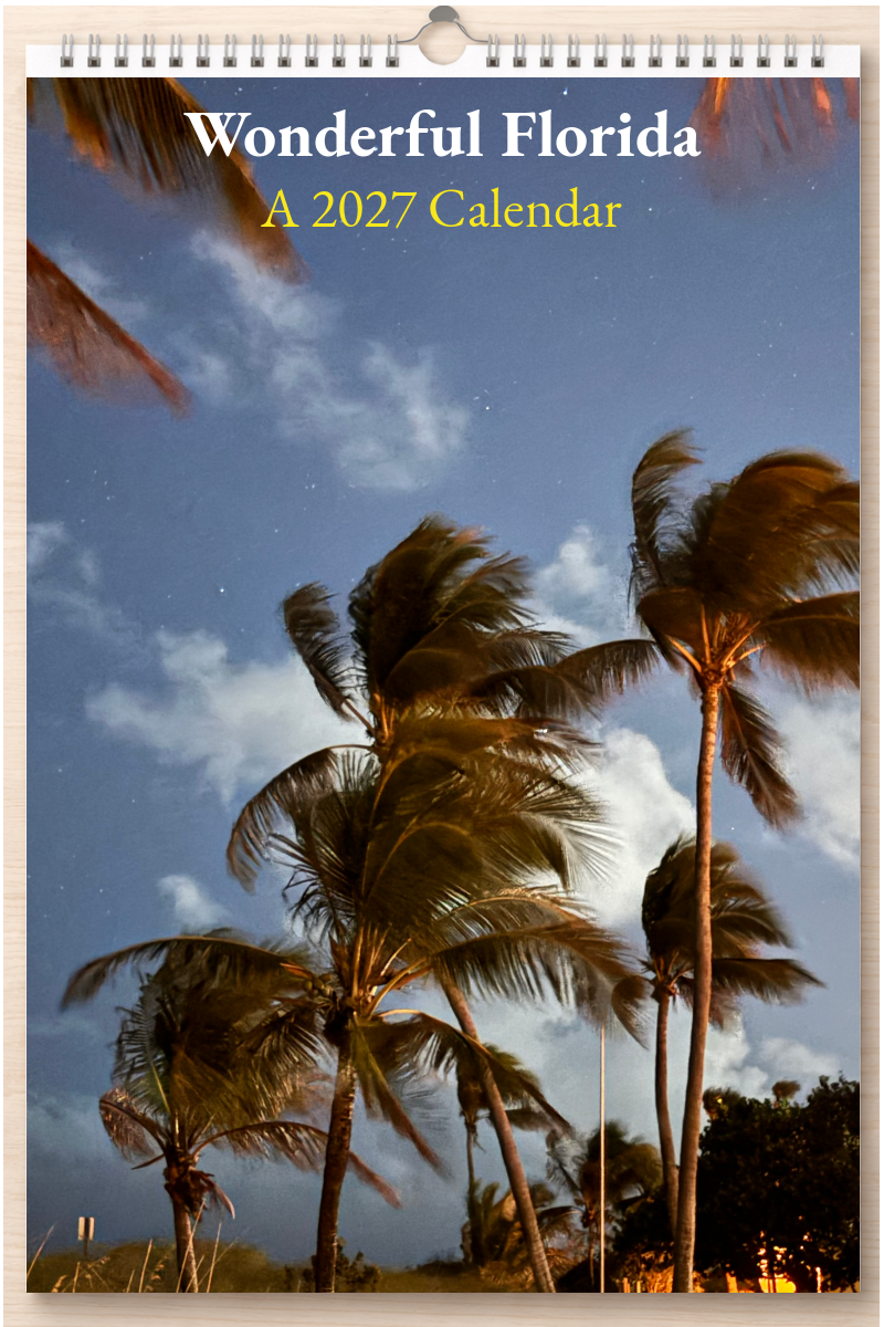 Wonderful Florida: A 2027 Calendar