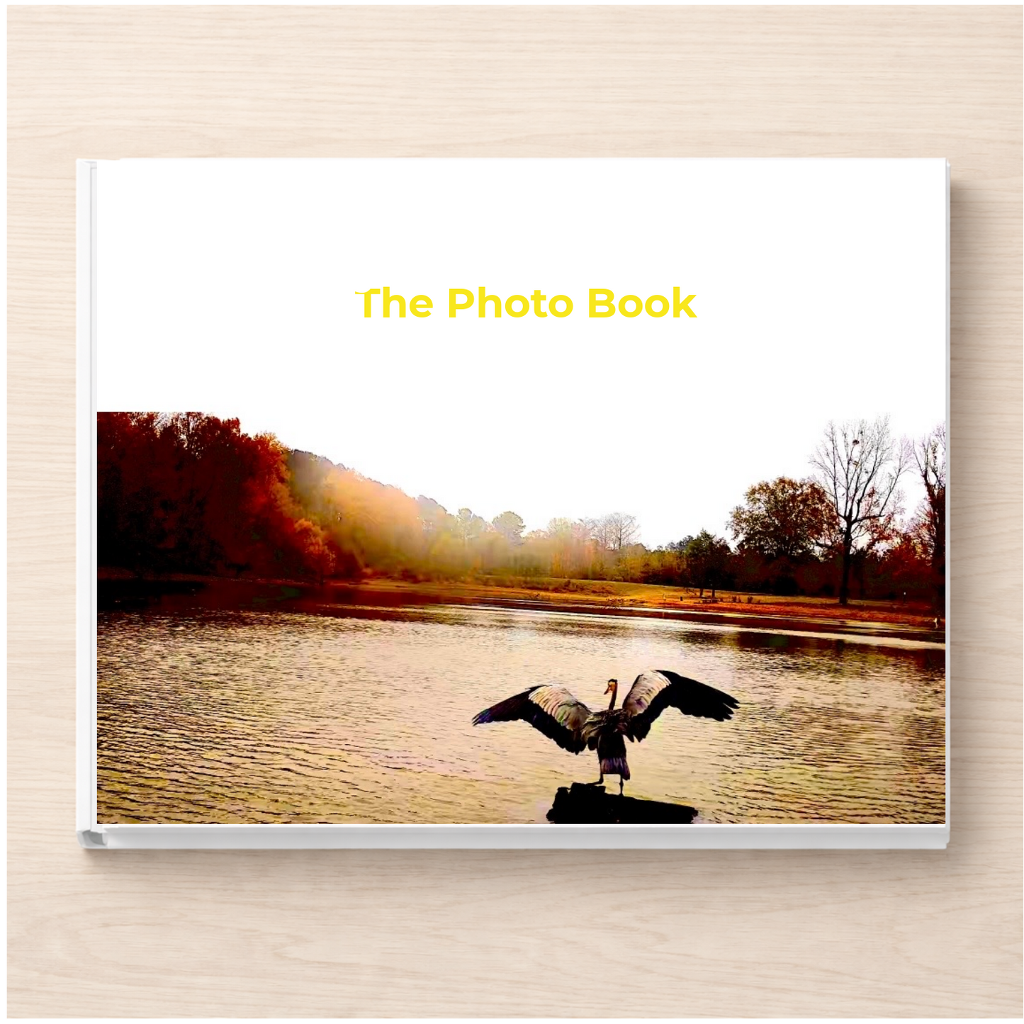 Louisiana: The Photo Book