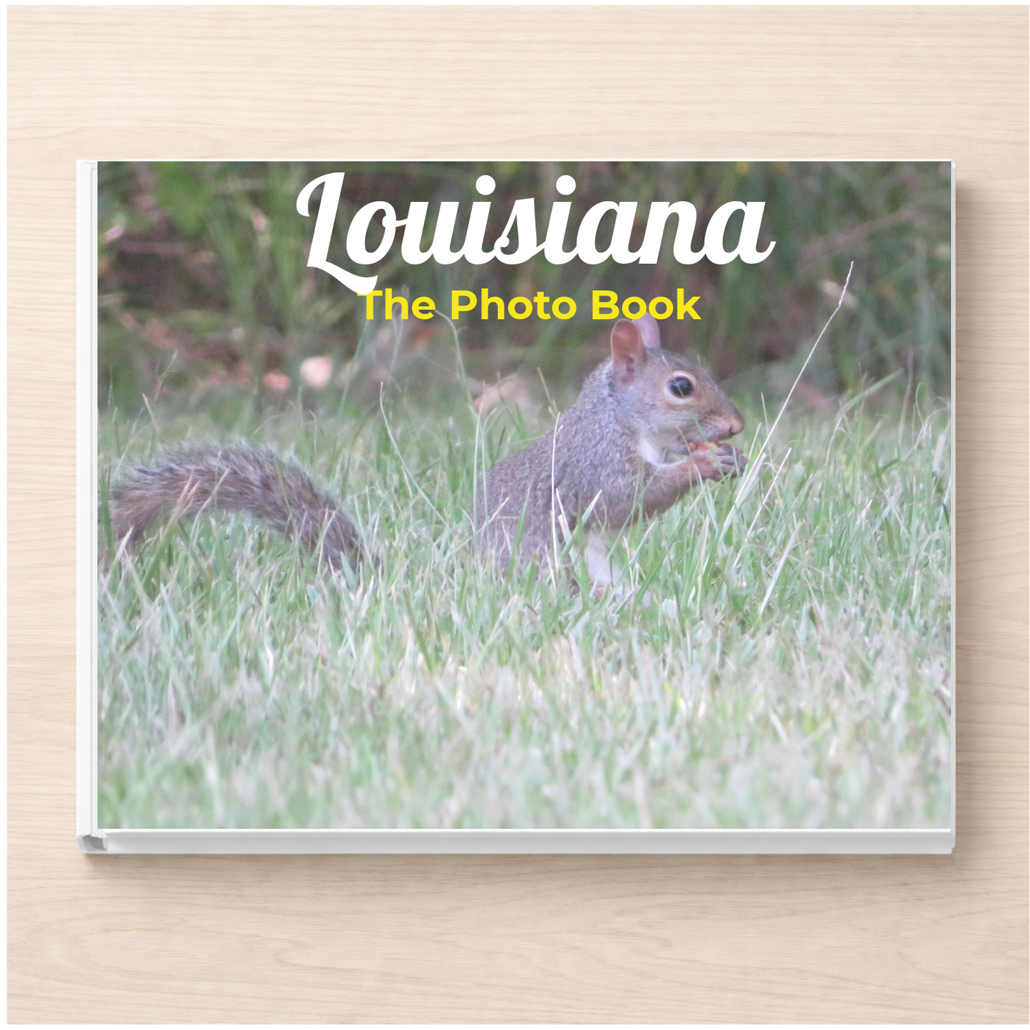 Louisiana: The Photo Book