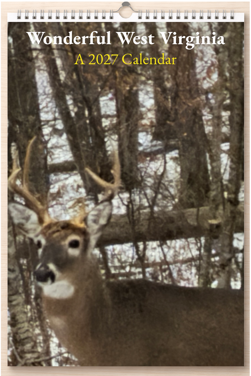 Wonderful West Virginia: A 2027 Calendar