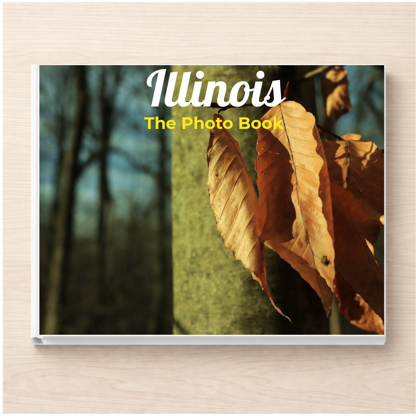 Illinois: The Photo Book